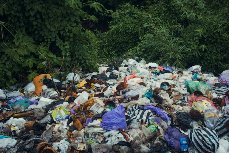 Croydon residents asked to identify fly-tippers