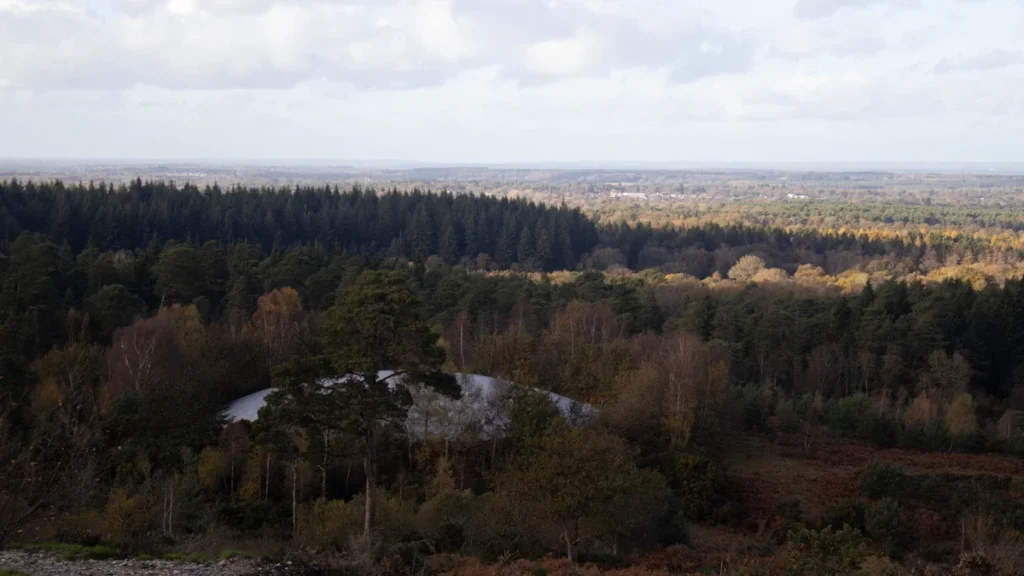 Panoramic view of a forest landscape with rocky clearing and distant trees in England.