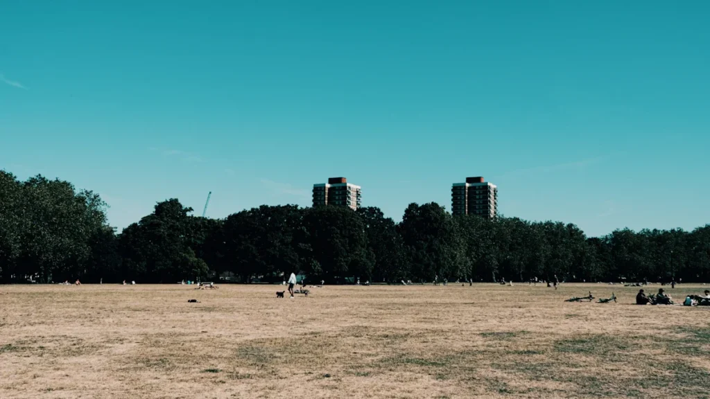 A wide shot of a London park with dry, yellowed grass and residential tower blocks under a clear blue sky.