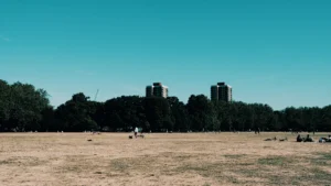 A wide shot of a London park with dry, yellowed grass and residential tower blocks under a clear blue sky.