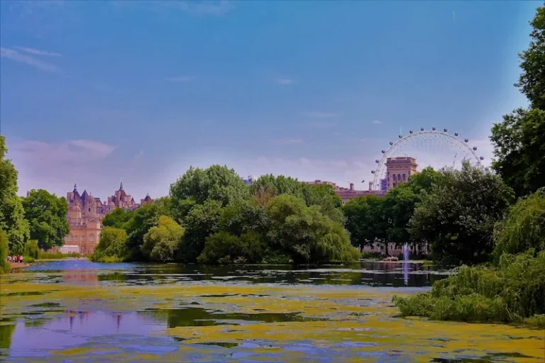Redbridge heat health alert issued with safety guide for residents