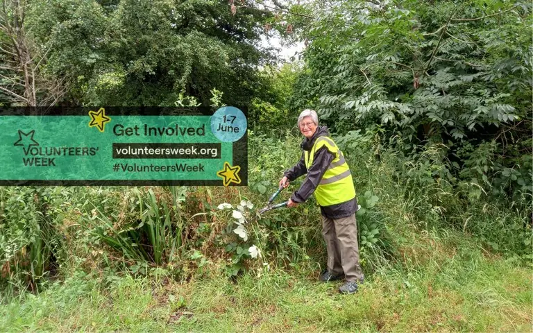 Redbridge residents invited to start volunteering: what residents need to know