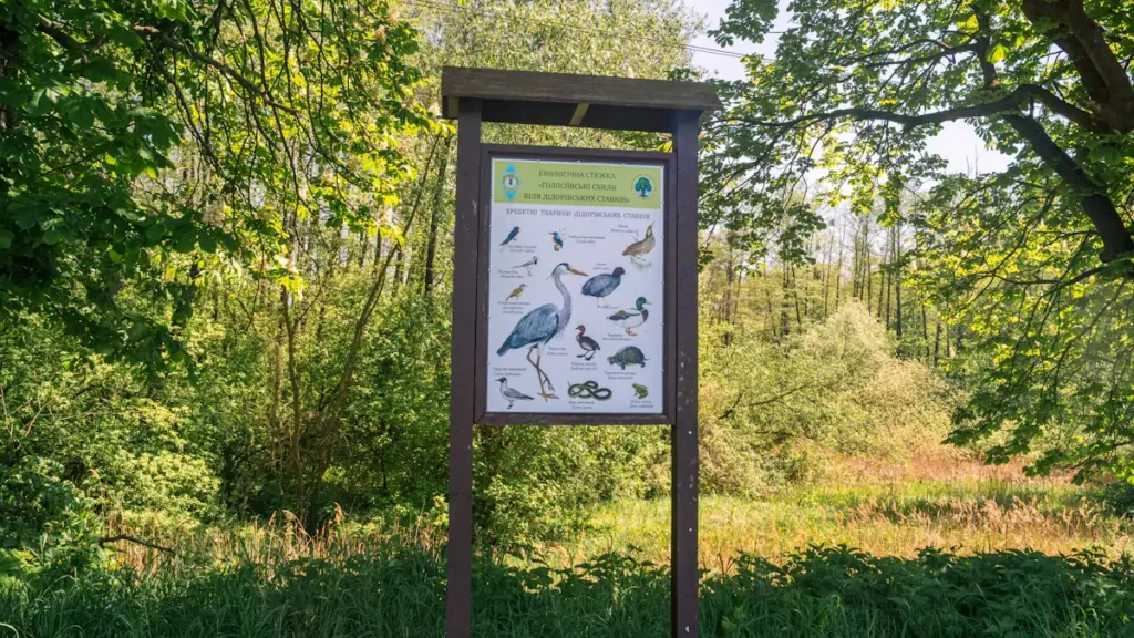 An outdoor information board featuring various bird illustrations in a wetland nature park.