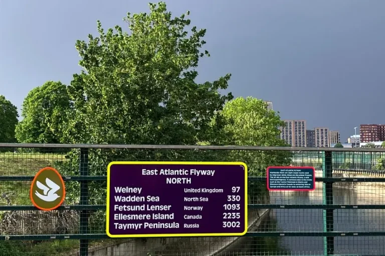 Walthamstow Wetlands adds playful signs for birdwatchers