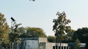 Birmingham expands support for GRT communities