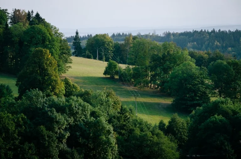 Bromley moves to refuse 350-home Green Belt plan