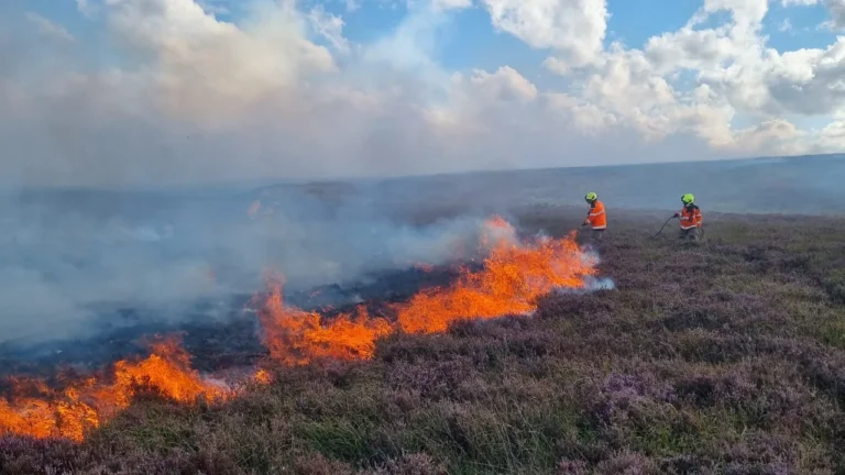North Yorkshire warned not to spark moorland fires