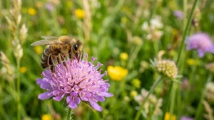 Stoke residents get a free bee event at Burslem Park