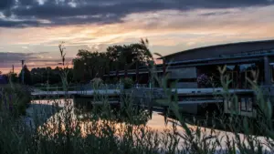 Afterglow at Chester Zoo: Late Summer Evenings