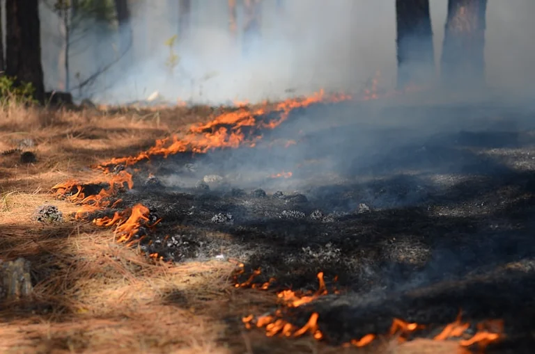 Cairngorms residents return as smoke spreads wider