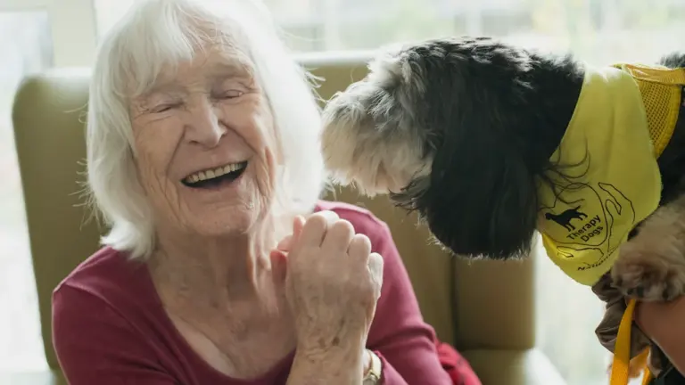 Earlier care support moves up Somerset’s agenda