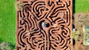 Free Mythical Maze Quest Comes to Fleetwood This August: what residents need to know
