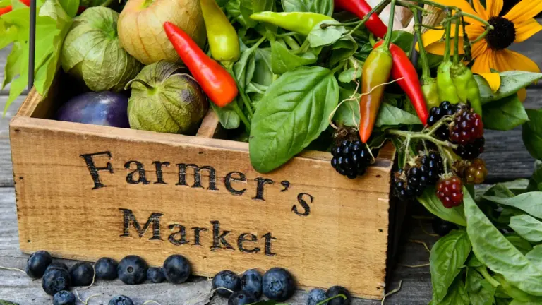 Lincoln Farmers’ Market returns free on 15 August