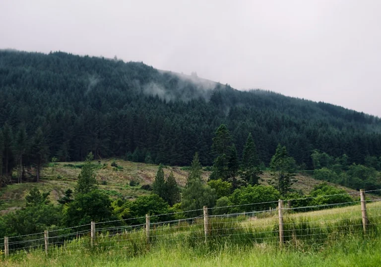 Nethy Bridge residents return as wildfire eases