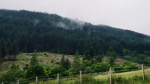 Nethy Bridge stays evacuated despite wildfire shift