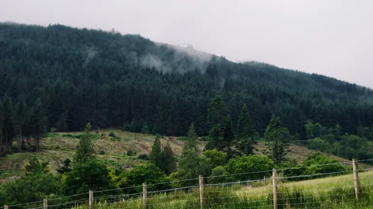 Nethy Bridge stays evacuated despite wildfire shift