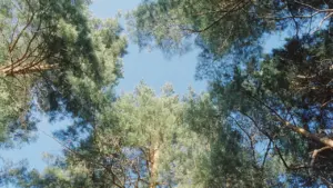 Show & Tell: free Worcester nature talk on 27 July: key details