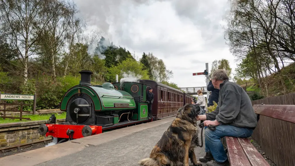 South Causey Dog Walk: free monthly outing in Durham