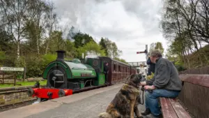 South Causey Dog Walk: free monthly outing in Durham