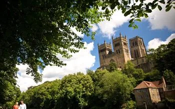 South Causey Dog Walk: free monthly outing in Durham