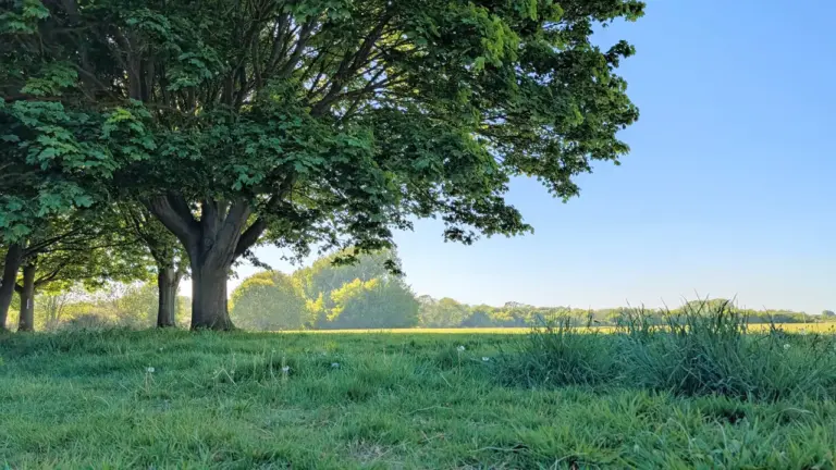 Suffolk climate schemes face a council-wide review