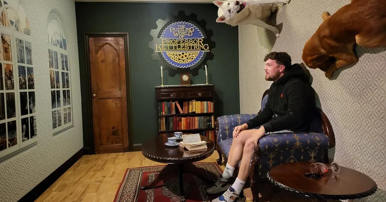 York dog day opens free illusion rooms to pets