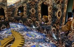 York dog day opens free illusion rooms to pets