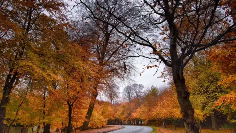 Autumn at Wakehurst: Your Guide to the 2026 Seasonal Events