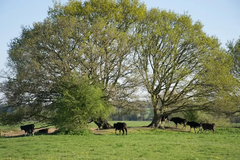Bawdsey to Snape memorial walk set for 16 August