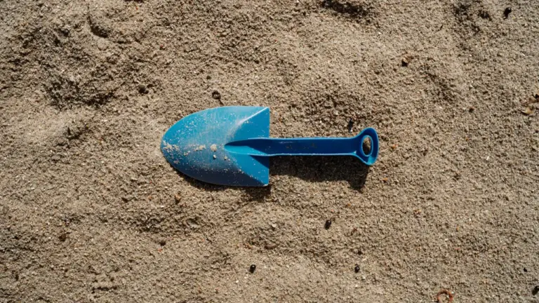 Bedford Beach Week: free sandpit fun from 11 August