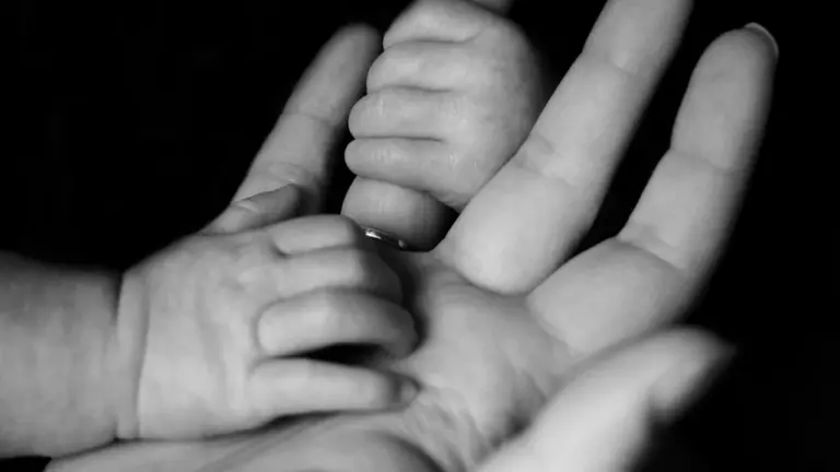 Bolton baby support clears its first quality test