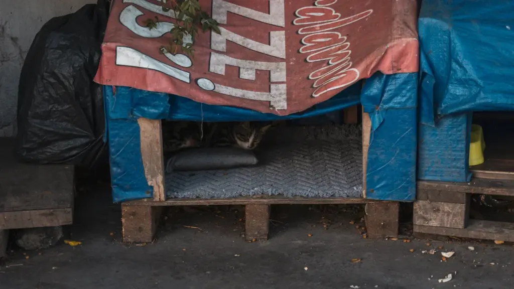 A makeshift animal shelter constructed from wooden pallets and tarps in an urban setting.