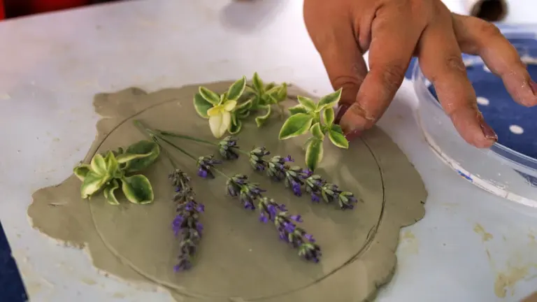 Cambridge Nature Impressions workshop is drop-in on 20–21 August