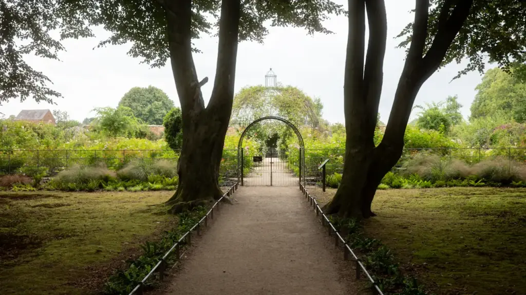 Cambridge’s Struggle for Light opens with Garden entry