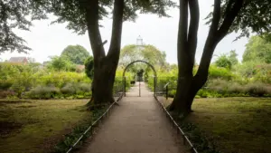 Cambridge’s Struggle for Light opens with Garden entry