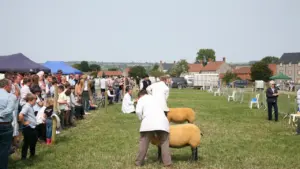 Chatsworth Country Fair, Bakewell: save up to 20%