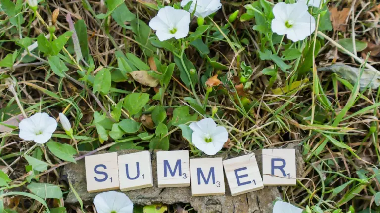 Ealing residents can pick the borough’s summer winner