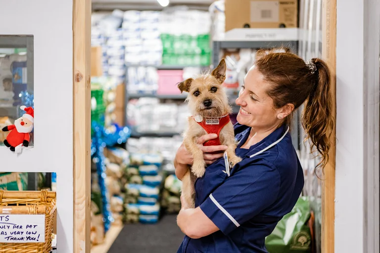 Feed the Nation’s Pets: UK appeal runs to 31 August
