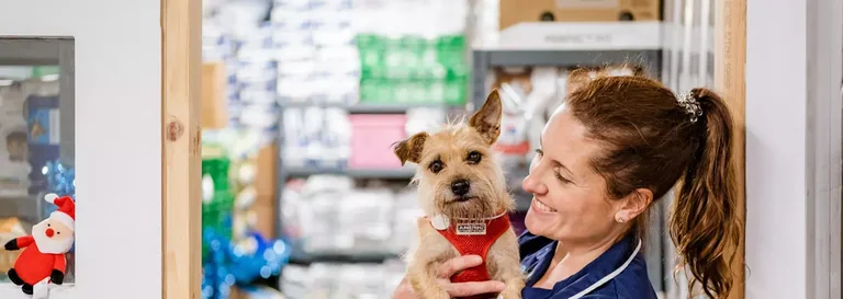 Feed the Nation’s Pets: UK appeal runs to 31 August