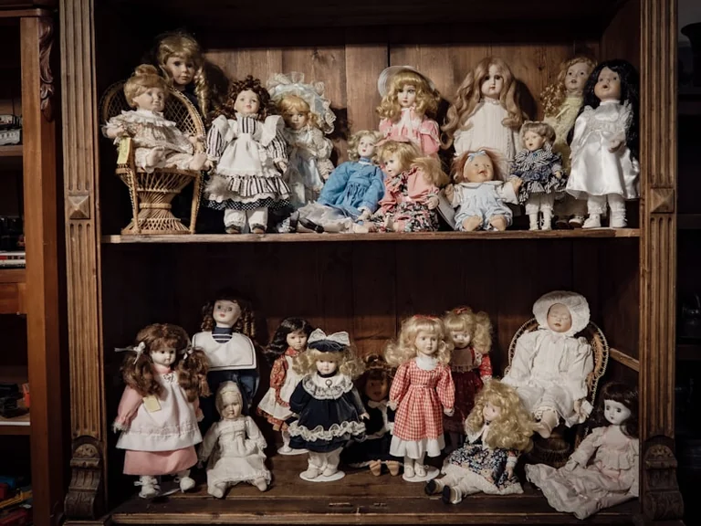 Free Cabinet of Curiosity comes to Leicester on 8 August