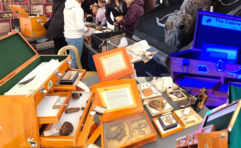 Free Cabinet of Curiosity tours Leicester neighbourhoods