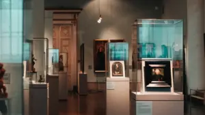 Interior view of a museum gallery featuring various artifacts in glass display cases.