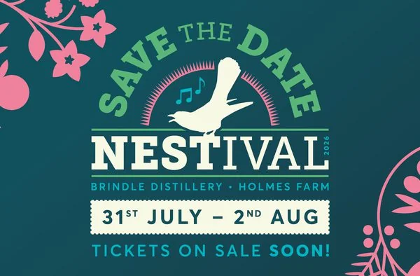 Free Nestival weekend brings live music to Chorley