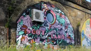 Free VACMA Scotland Grant Sessions Start 30 September