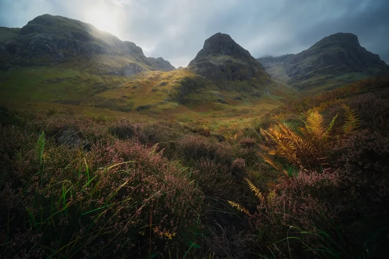 Free VACMA Scotland Grant Sessions Start 30 September