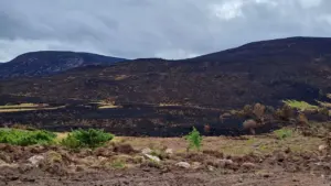 Glenmore reopens, but key trails stay closed after wildfire