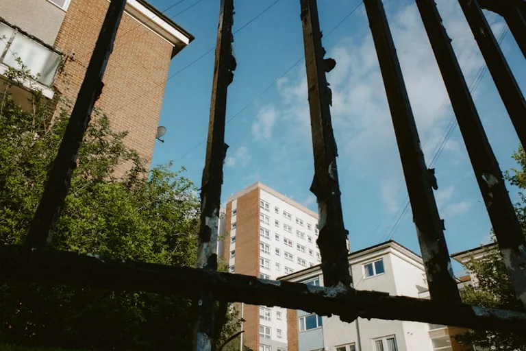 Haringey phone disruption puts council calls at risk