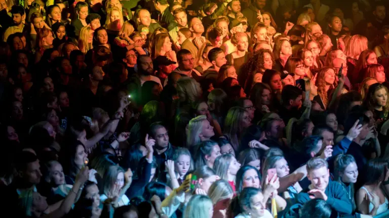 Harlow Town Show’s free tickets depend on one email