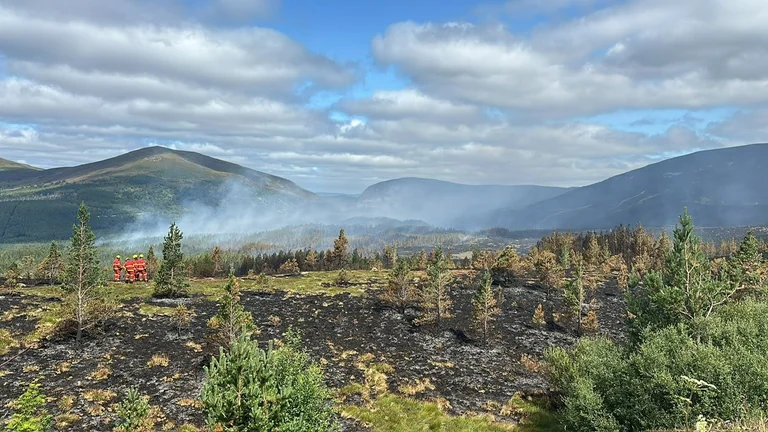 Scotland urged to act before wildfire smoke rises