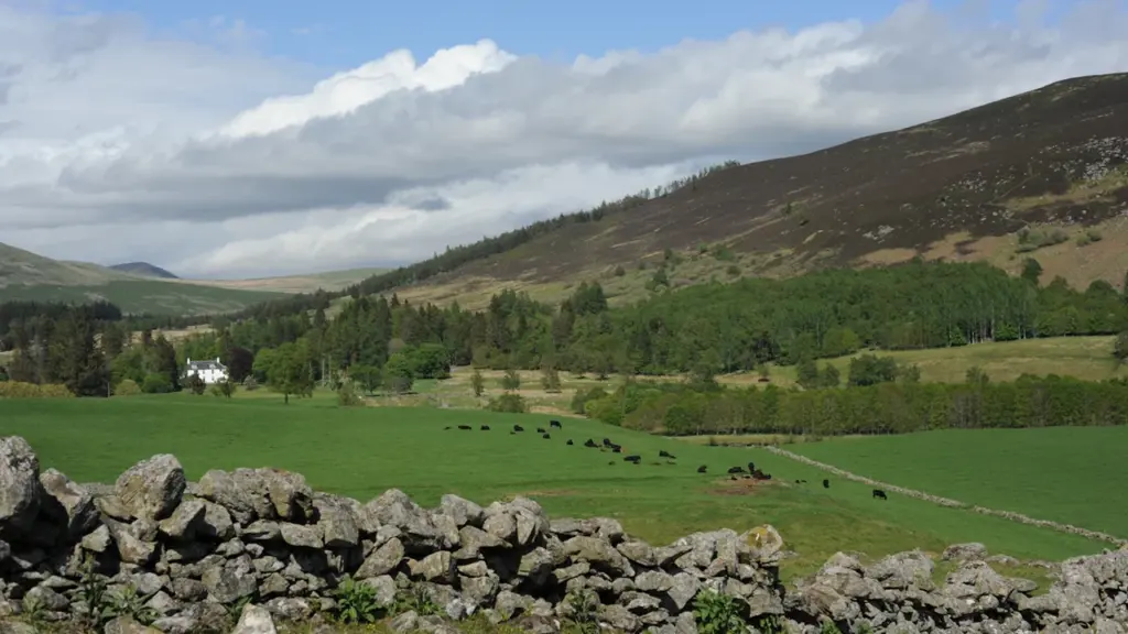 Scotland’s visa push targets workforce and rural gaps